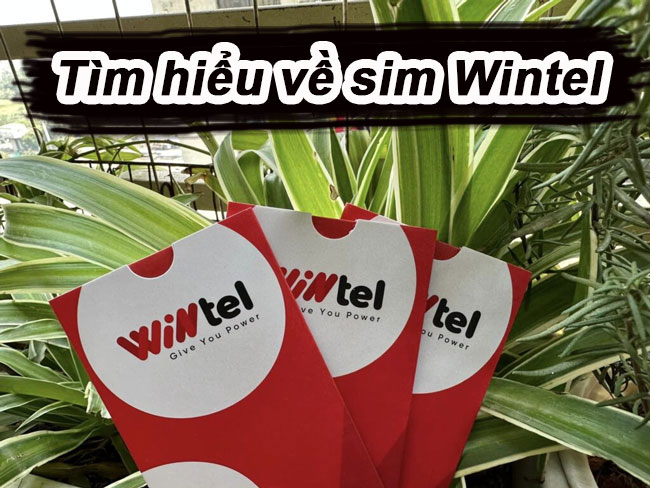 Sim-wintel-02